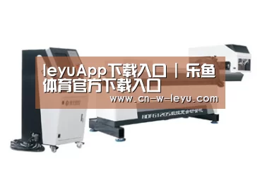 案例展示三