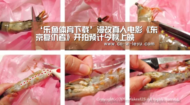 ‘乐鱼体育下载’漫改真人电影《东京复仇者》开拍预计今秋上映(图4) 乐鱼app下载