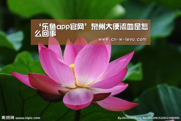 ‘乐鱼app官网’泉州大便流血是怎么回事(图1) 乐鱼体育下载