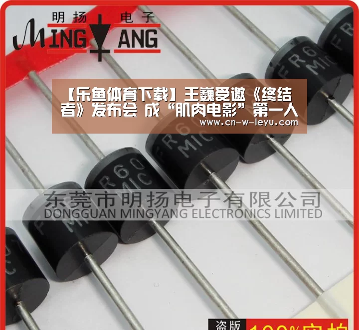 乐鱼app下载