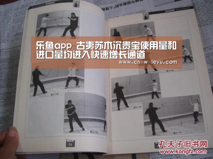 乐鱼体育下载